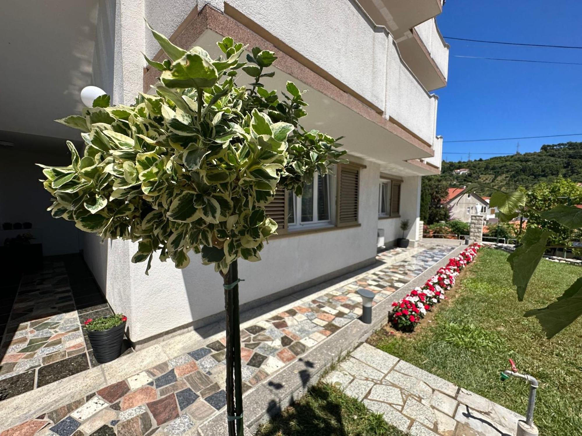 Apartments Vinse Near Rab Center راب المظهر الخارجي الصورة